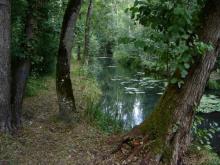Aulnaie-Fresnaie