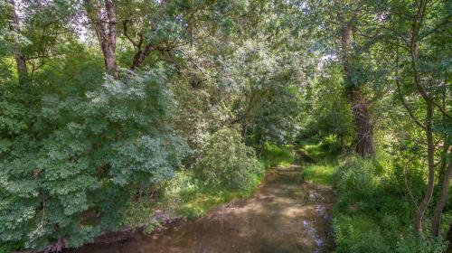 20160801_pont_germignac_a._orseau-5.jpg