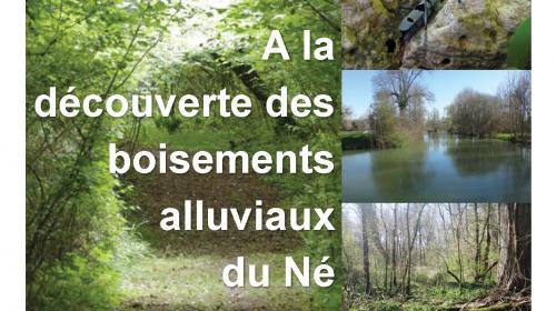 affiche_animation_boisement_ne.jpg