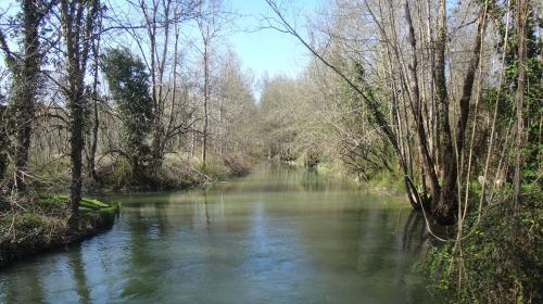 site_des_trois_pelles_sd_2015_1.jpg