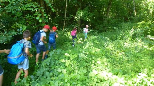 vallee_du_ne_ecole_ars_-charentenature_4.jpg